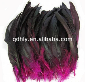 pheasant feather for decorate