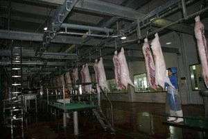 Pig slaughter machine / pig farming equipment