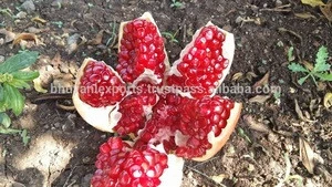 Pomegranates/Indian Anar/Fresh Fruits!