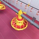 Poultry feeders and drinkers Pan feed system Chicken feeding equipment