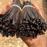 Premium Madagascar Vanilla Beans / Vanilla beans
