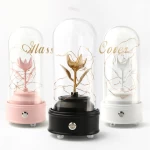 Preserved flower rose real flower music box wholesale Christmas Clear Glass Dome With LED