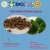 Import Private Label OEM Anti-Fatigue Function Chlorella Seaweed Soft gels Capsules from China