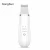 Import Pro Facial Ultrasonic Portable Ultrasound Ion Skin Scrubber Care Peeling Device from China