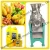 Professional factory price lemon juice extractor machine/fruit press machine for hot sale