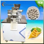 professional India maket using samosa maker machine
