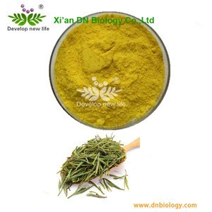 Professional Manufacturer 100% Natural Organic White Tea Extract/White Tea Powder/Tea Saponin Powder