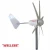 Import Promotion off grid Horizontal windmill ac three phase permanent magnet generator WS-WT400 400W street light system alternator CE from China