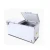 Import Promotions Big Size Double Door Chest Freezer from China