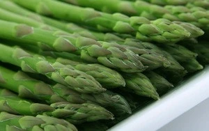 Quality fresh Asparagus