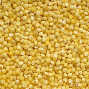 quality grade A millet for sale