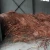 Import Quality of copper wire scrap 99.99% for sale from Canada
