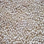 RED AND YELLOW SORGHUM FOR SALE FROM SOUTH AFRICA