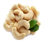 Roasted salty Cashew nuts with Skin Vietnamese Cashew kernel - WW210 (Made in VietNam)