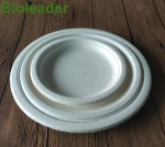 Safes Vegetable Plant Biodegradable Sugarcane Bagasse Plate, Disposable Dinner Plate