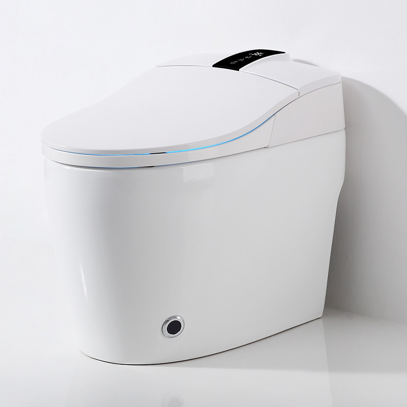Buy Sanitary Ware Ceramic Floor Mounted Automatic Toilet Flush ...