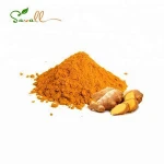 Savall Free Sample pure high Water soluble Curcuma Root herbal extract turmeric curcumin powder curcumin extract plant extract