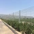 Import Security Curved Wire Fence from China