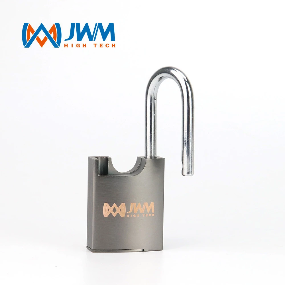 security management system/passive electronic lock/smart door locks