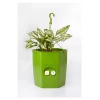 Self Watering Flower Plastic Pot / Planter