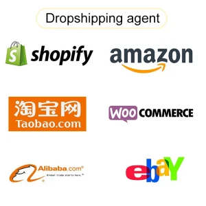 Shenzhen Professional and Excellent Shopify Dropshipping Company with Fulfillment Service