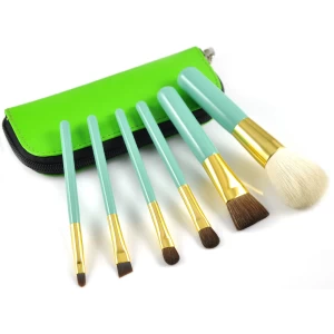 Shiny Color Portable Beauty Kits Makeup Brush Set