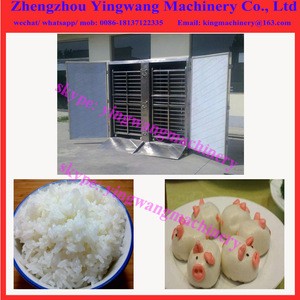 Single door rice,fish ,meat steamer / steaming machine