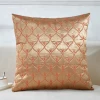 Square 45x45cm embroidered fancy fabric cushion cover