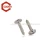 Import Stainless Steel ss316 Self Tapping Screw from China