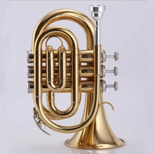 Standard Golden Lacquered Bb Key Pocket Trumpet for Sale