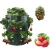Import Strawberry Planting Bag With Planter Pockets 5/7/10 Gallon With Handle Bolsa De Cultivo Vegetable Plants Garden Grow Bags from China