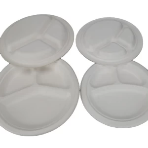 Sugarcane Fiber Unbleached Dinner Bagasse 3 Compartment Paper Plate Plate Dish Round Fast Food and Takeaway Food Services