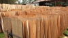 Sun Dried Eucalyptus core veneer 100%A grade good quality only from KEGO Factory-www.kego.com.vn