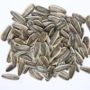 Sunflower Seeds