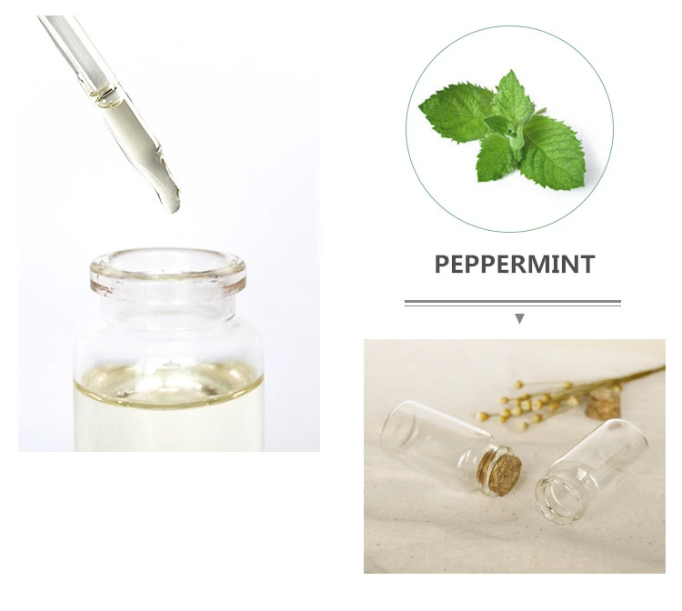 Supplier Wholesale Private Label Buy Bulk Price Hair Growth Mint Oil 100% Pure Natural Organic Peppermint Essential Oil