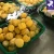 Import SWEET PEELED PINEAPPLE PULAE THAILAND WHOLESALE PRICE!!! from Thailand