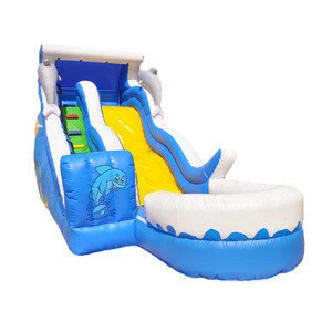 Top Quality Water Amusement Sea Big Inflatable Water Slide With Pool for Adult