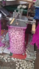 Top Quality Wholesale Fresh Garlic in Mesh Bag