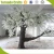 Import Tornado Crafts Longest Branch Silk artificial cherry blossom tree wholesale for wedding decoration from China