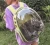 Import Transparent Outdoor Space Capsule Shaped Pet Backpack Portable Soft Breathable Pet Carrier Bag Bubble Space Large Shoulder Bag from China