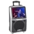 Import trolley video speaker with screen High definition 15-inch wireless Mic/Bt video /10 inch bluetooth karaoke active sound box from China