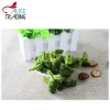 VF Vegetables manufacture Vacuum Fried VF Dried Broccoli