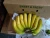 Import Vietnam Fresh big Cavendish banana from Vietnam