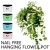 Import wall hanging Self Watering Flower Pot molds for wholesale from China