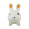 White Rabbit inflatable skippy animal toy for kids ride on play