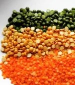 Whole And Split Lentils/Red Lentils/Green Lentils