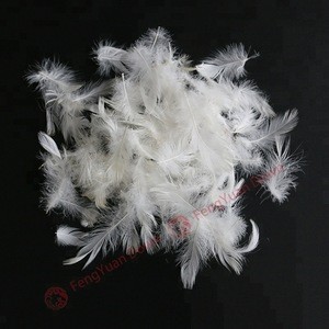 wholesale Chinese high quality filling and decorative material 2 to 4 cm white duck feather