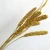 Import wholesale Dried grass Preserved Eternal Forever Flowers dried millet from China