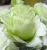 Import wholesale fresh flowers flower delivery flowers eustoma Wedding Decor from China
