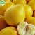 Import Wholesale Fresh Honey Pomelo Fruit from China